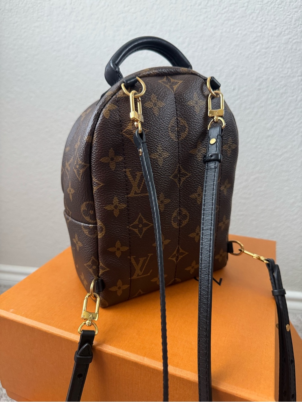 Louis Vuitton Palm Springs mini Backpack - Picture 2 of 12